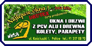 WIDOK